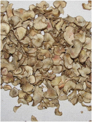 Dried artichokes (topinambour) tubers 2