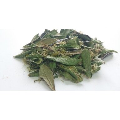 Ekologiška žolelių arbata Nr.38 "Šlapimo takams-1" ( 40 g ) Ekologiška žolelių arbata Nr.38 "Šlapimo takams-1" ( 40 g )