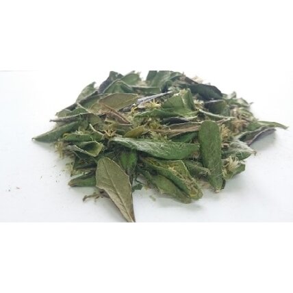 Ekologiška žolelių arbata Nr.38 "Šlapimo takams-1" ( 40 g ) Ekologiška žolelių arbata Nr.38 "Šlapimo takams-1" ( 40 g )